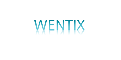 Wentix International Ltd.