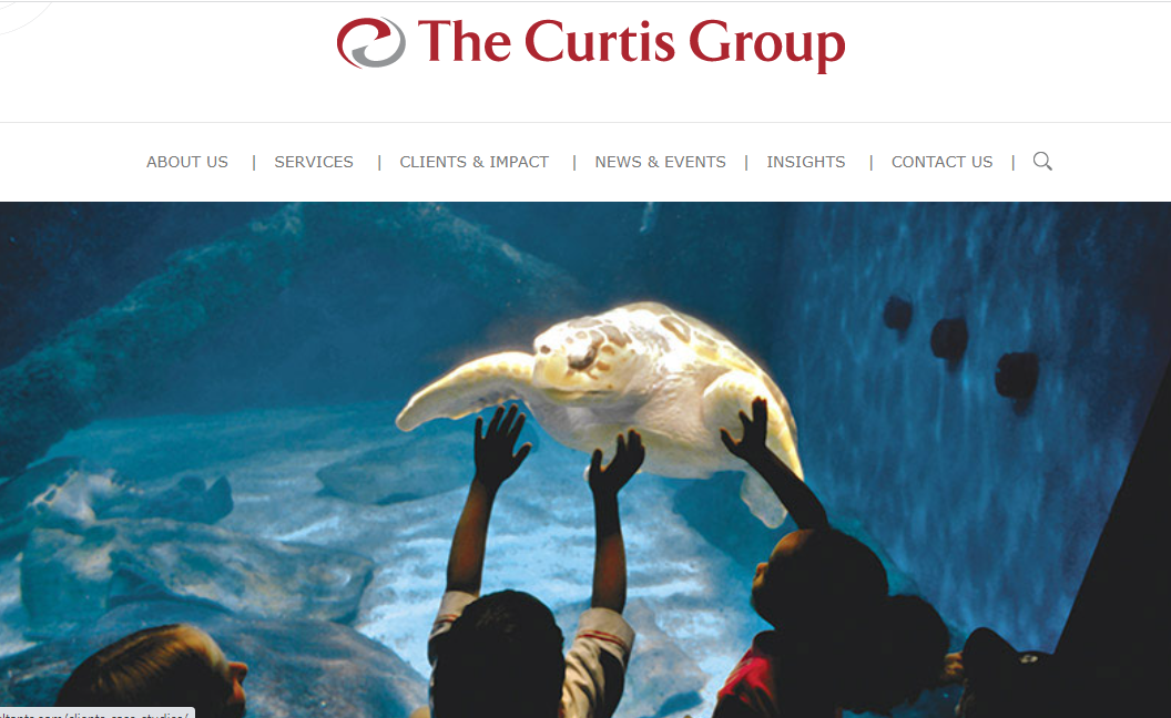 The curtis group