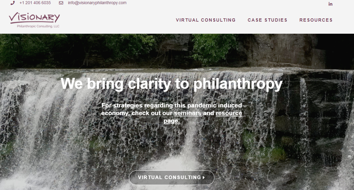 Visionary Philanthropic Consulting